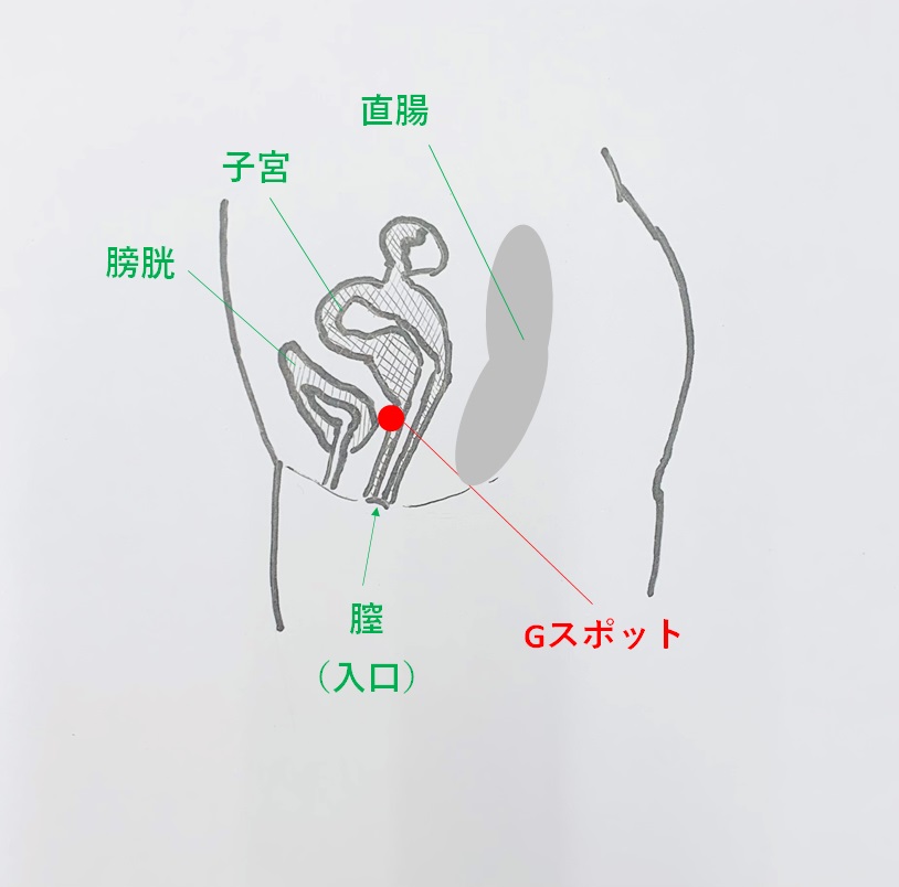 仙台、国分町、立町の回春性感風俗｜男の潮吹き専門店 仙台回春堂 | 自分でも出来る♪前立腺の感度開発