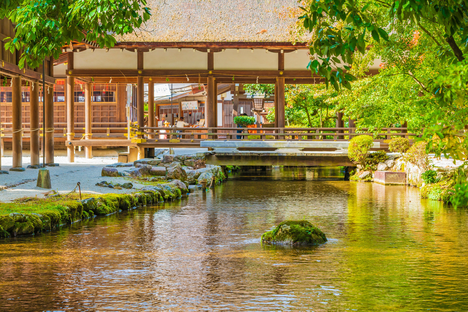 京都観光で一度は行ってみたい！春夏秋冬おすすめおでかけスポット | VELTRA旅行ガイド