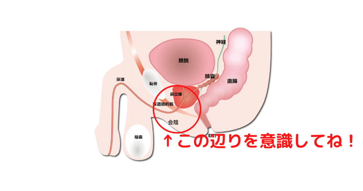 買動漫| [Mu's 同人誌代購]