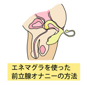 エネマグラ EX2 （正規品） 男性用 初心者向け