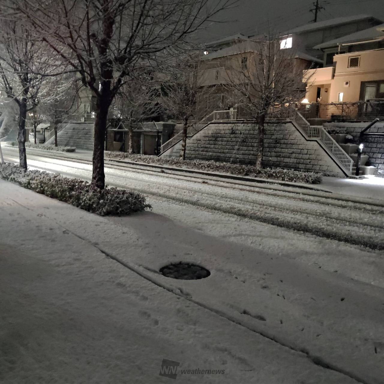 夜の街から家族、職場、隣県へ コロナ再拡大「赤信号」 東京から全国流行の恐れ：東京新聞デジタル