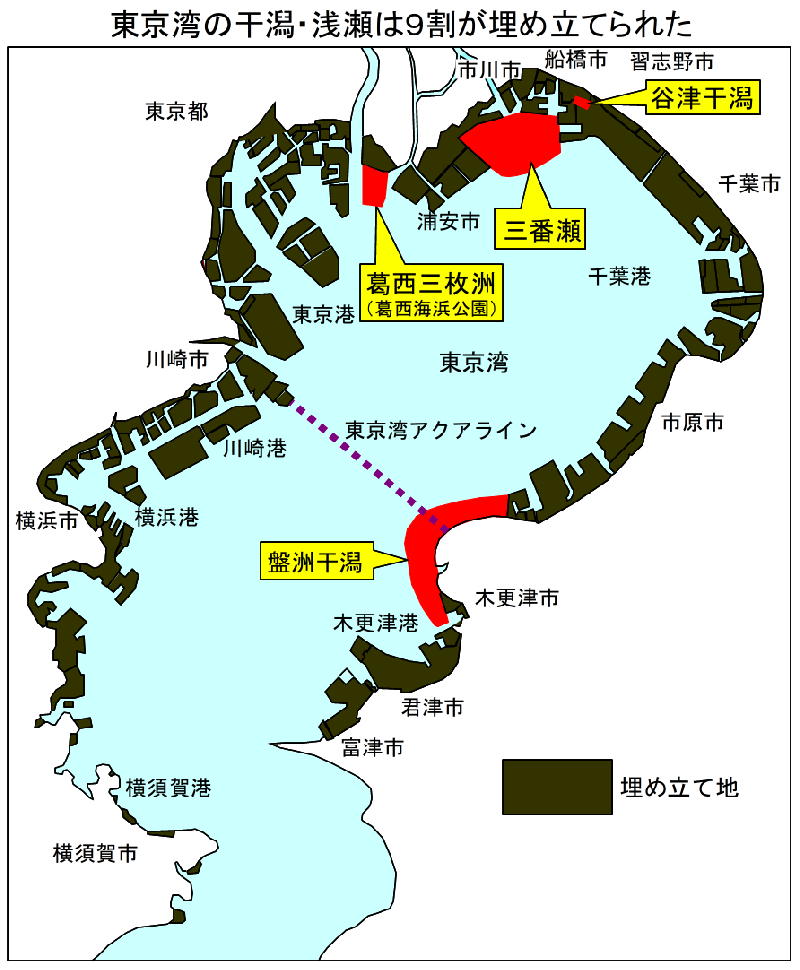 女子車中泊の一人旅企画！千葉県の絶景と日の出＆日の入りを満喫する1泊2日 | みるみるランド