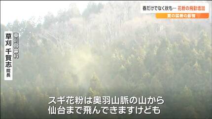 鼻水ずるずる」秋の花粉症 原因は雑草の『ブタクサ』「猛暑の影響で飛散増加か」スギ花粉より強い症状の人も どう防いだらよいのか | 