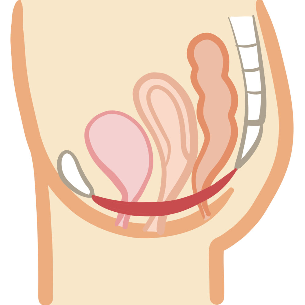 【オナラじゃなくてチナラ】エッチとかで！あの音が出ちゃうってどういうことなのかまとめました【体を学ぶ】