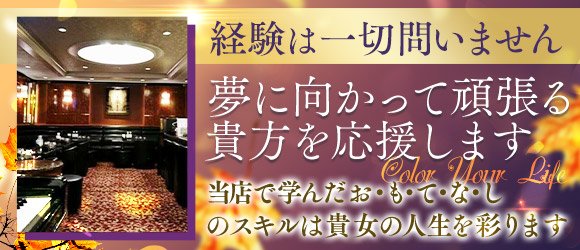 銀座・新橋のキャバクラ求人・体入｜アルバイトナイツ