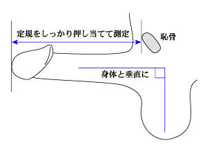 ⭐︎ 5月21日火曜〜23日木曜の3日間は店舗メンテナンスのため大泉学園本店、江古田店の両店ともにお休みいたします。  5月24日金曜10:00よりオープンいたします。