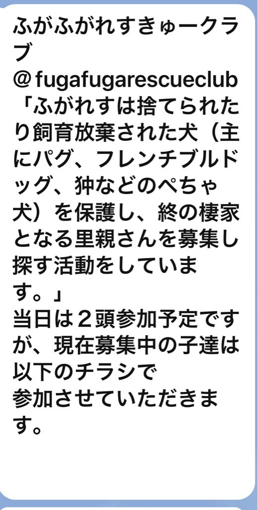 ふがふがれすきゅークラブ 保護犬情報