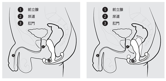 正しい使い方について教えて下さい。 アネロスは、「不随意筋が無意識で動き出し、ハンズフリーでセルフ… | アネロス