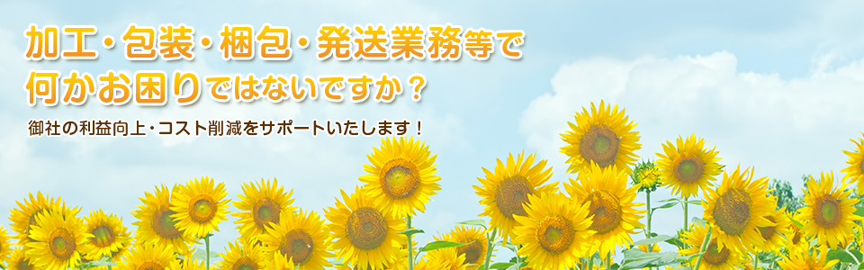 嘉麻】「熊ヶ畑ひまわり畑」が5年ぶりに復活！8月中旬に見頃を迎えます！ - 筑豊情報マガジンWING