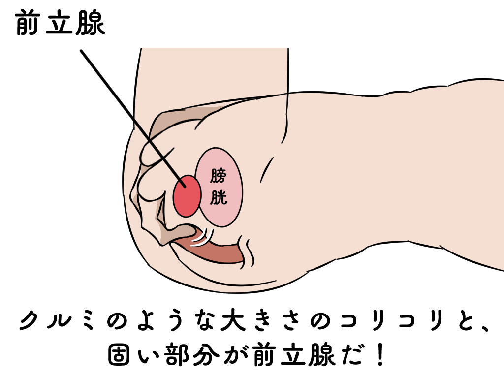 ドライオーガズムを哲学する】タントラ的アプローチ④：タントラでドライオーガズムに達する方法とコツ | 尻飛び修士の研究手帳