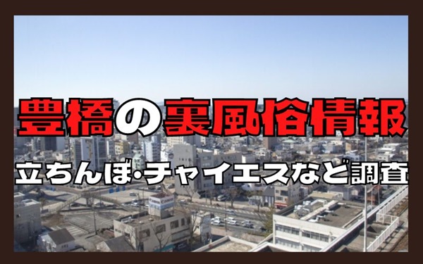 2024年裏風俗事情】豊橋の立ちんぼスポットはギャラリーも客引きも入り乱れ状態！あの公園にはかわいい日本人が出る！？ |  Heaven-Heaven[ヘブンヘブン]