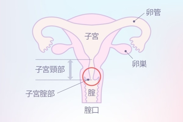 中イキのやり方・コツとは？開発の方法や外イキとの違いも解説 | ENJYO-エンジョー-