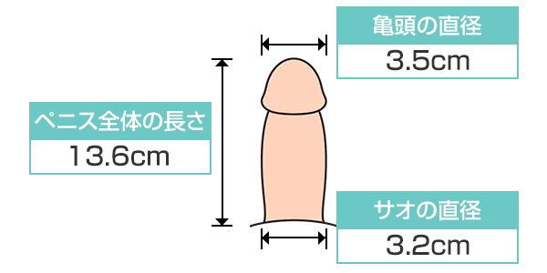 日本人の平均ペニスサイズ（通常時と勃起時）は○○cm！ – メンズ形成外科