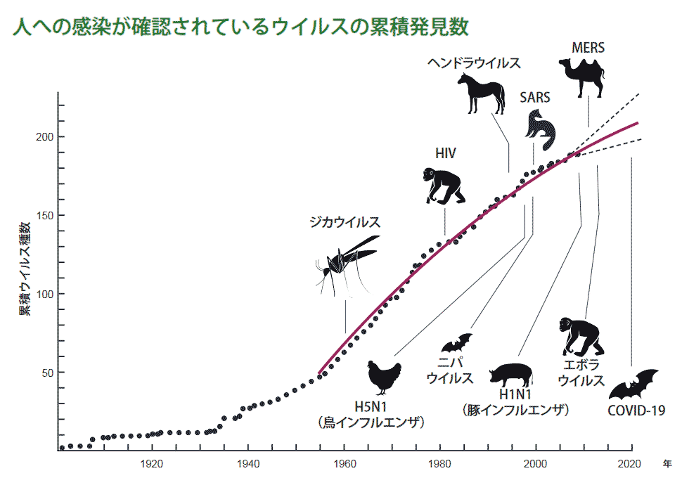 楽天市場】【P5倍＆クーポン利用で⇒2,375円】 体重計 体脂肪計 体組成計 体重計