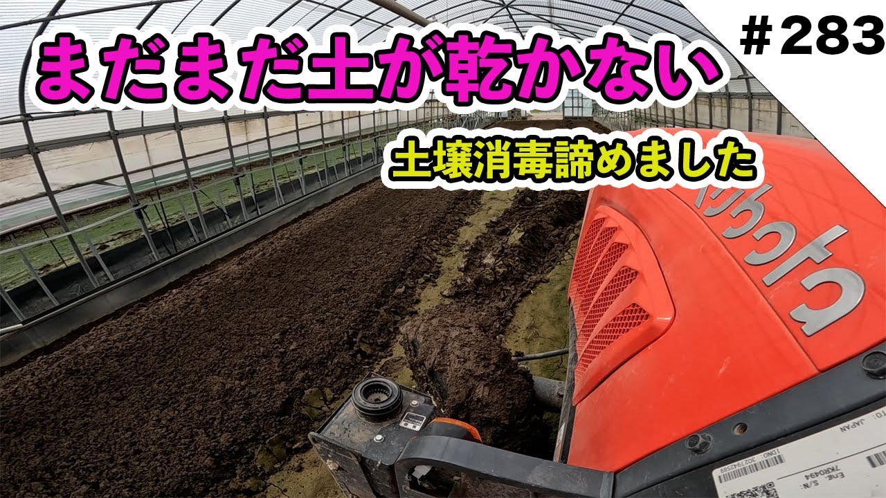 スズキワークス久留米 | 中古車なら【カーセンサーnet】