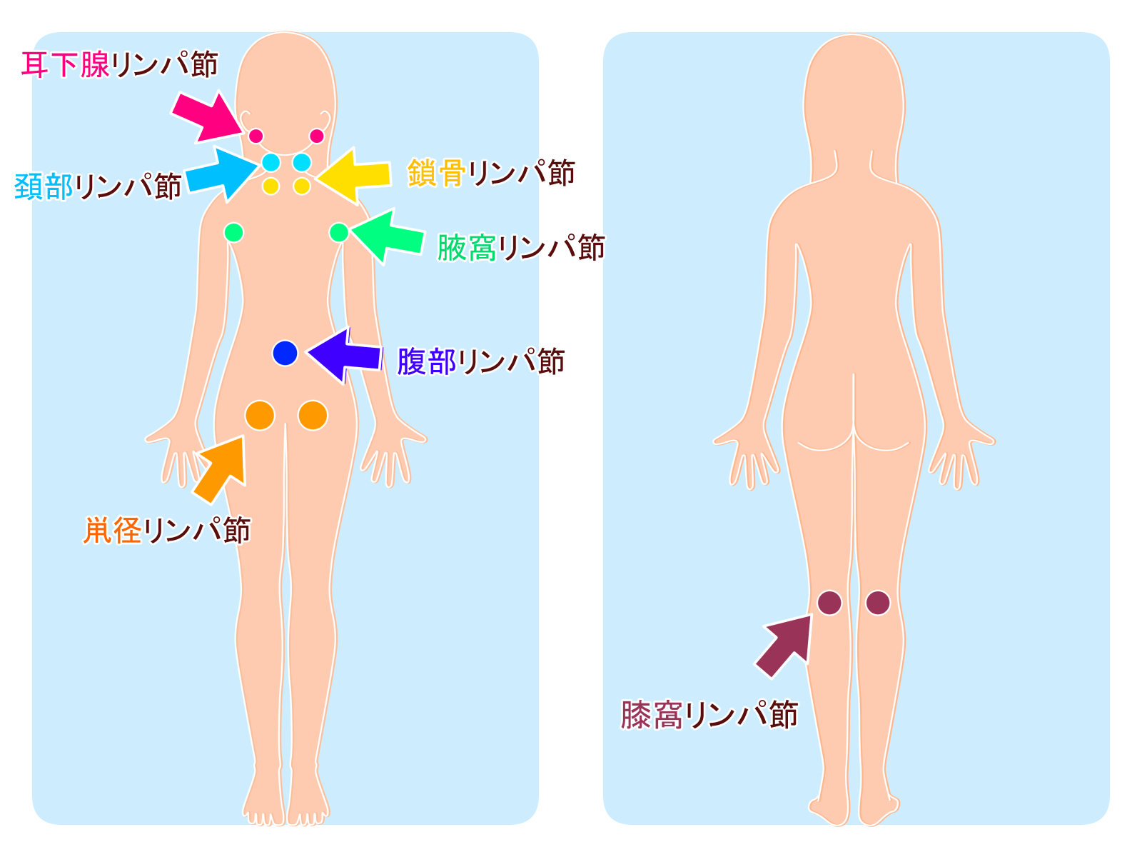 鼠径部のリンパを流して脂肪を落とす！超簡単マッサージ法3選を紹介 | セルライトのススメ