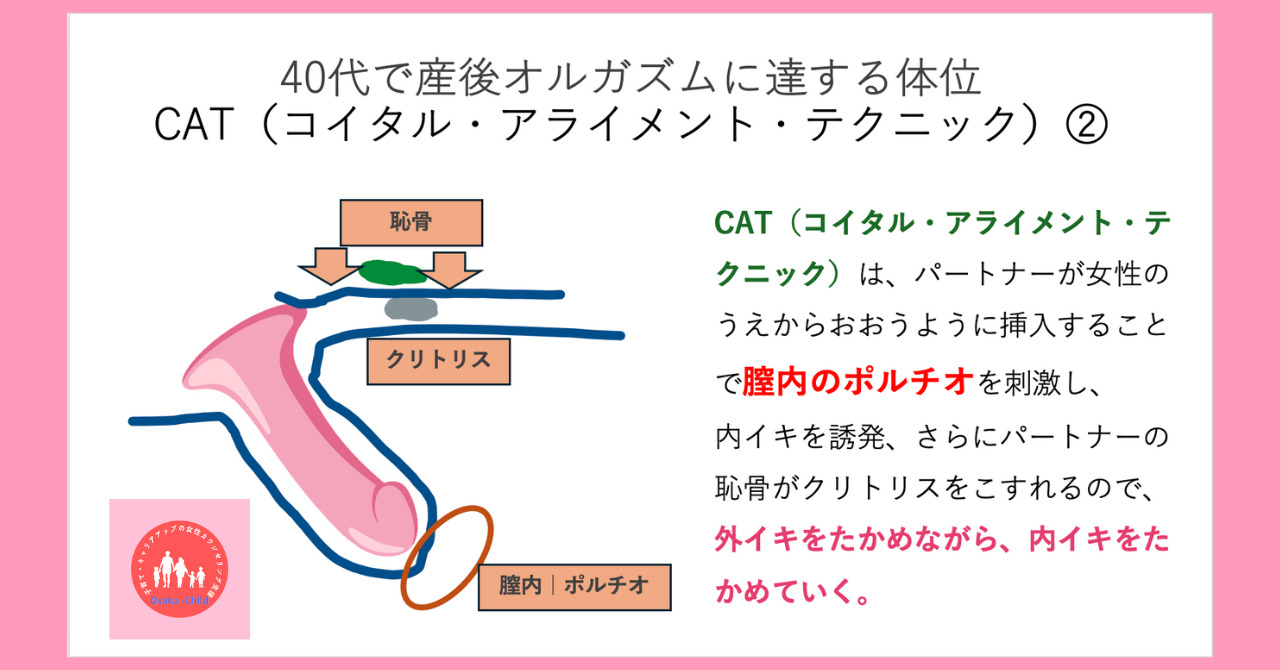 女性の中イキ特化セックスCAT体位の教科書【イラスト解説】 | セクテクサイト