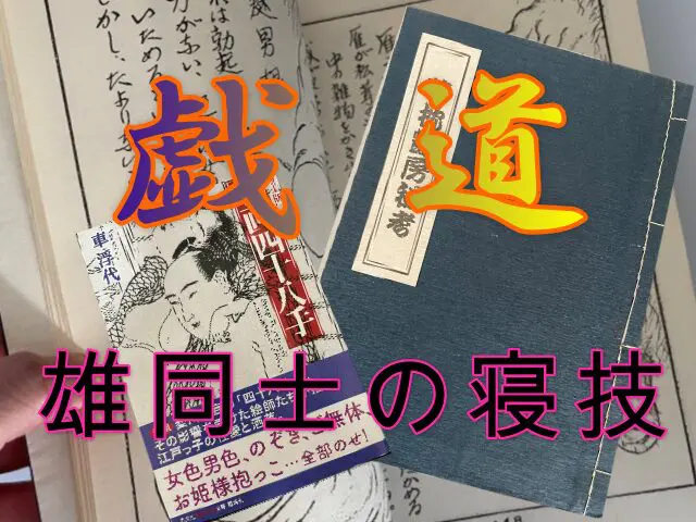 戯道 【表】四十八手を体位種別ごとに分類した戯術大全 -【戯道館】男同士の性交体位（ゲイセックスポジション）事典