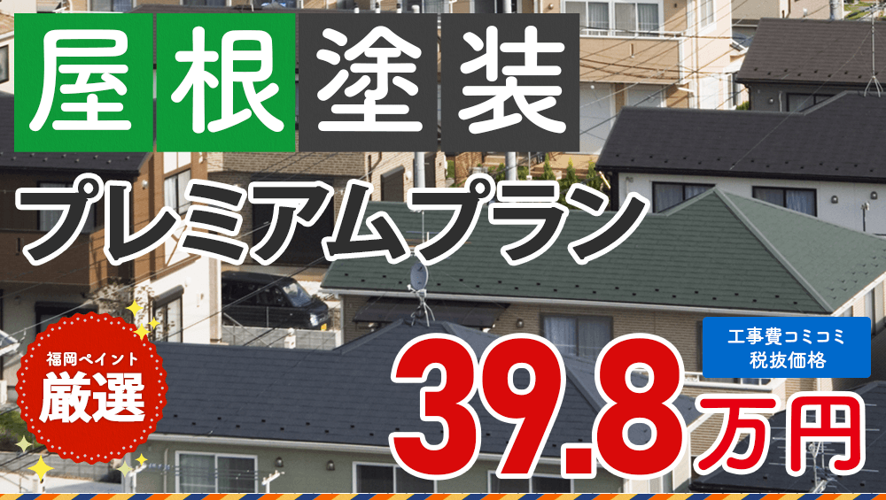 びわ 抜き苗 3本 実生苗