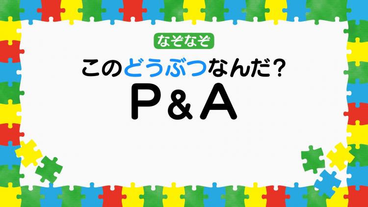 なぞなぞクイズ1152（幼稚園レベル） - なぞなぞ学園