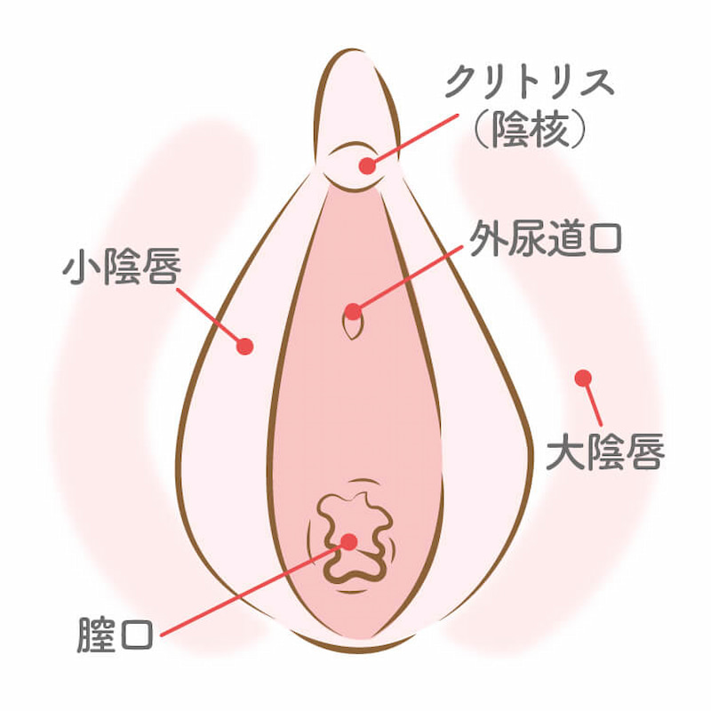 クリトリスが痒い痛い！かゆみ痛みの原因と予防について | 腟ペディア（チツペディア）