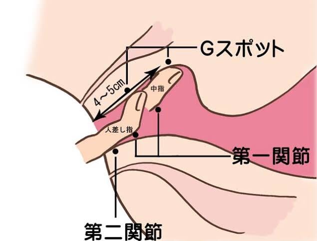 潮ふきとは？感覚と起こる仕組みや潮の成分 - 夜の保健室