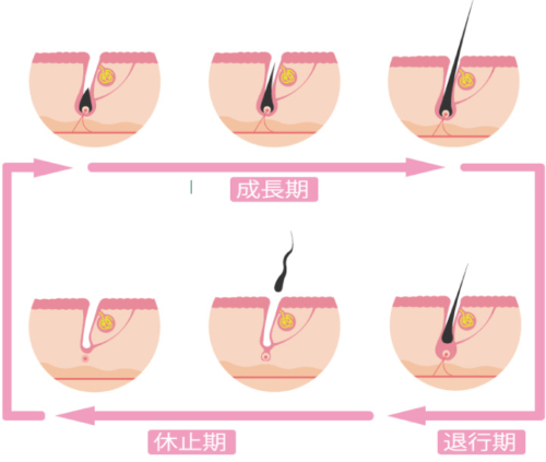 癖になっていたら要注意】ヒゲ（髭）を抜くことで招きうるリスクの代表例と改善方法一覧