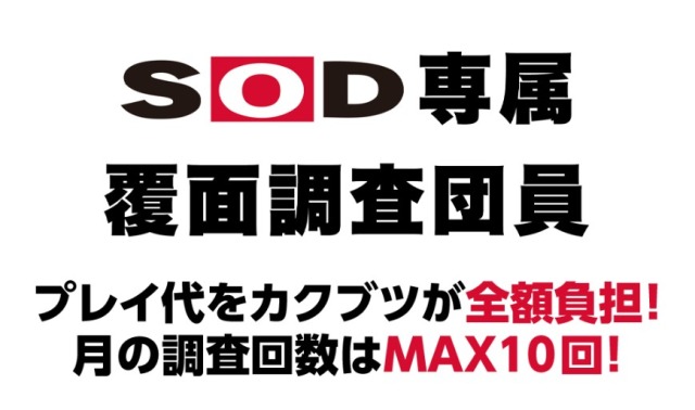 DVD「「スキマ時間」で「ＳＯＤバイト」 学校、勉強、仕事のスキマにベロキス、腋舐め。」作品詳細 - GEO