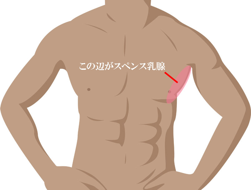 イクほどおっぱいが敏感になる愛撫方法！乳首とスペンス乳腺開発で胸イキするコツ | Trip-Partner[トリップパートナー]