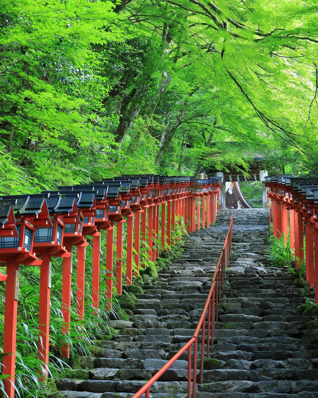 京都での夏旅行！暑い日も快適に過ごせる、おすすめ涼しい観光スポットを厳選紹介 - 京都観光のすすめ