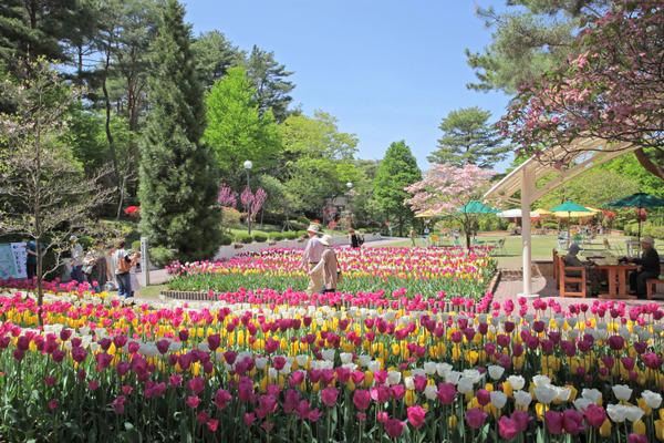 長野県 大人も楽しめる1日中遊べるスポット 子供の遊び場・お出かけスポット