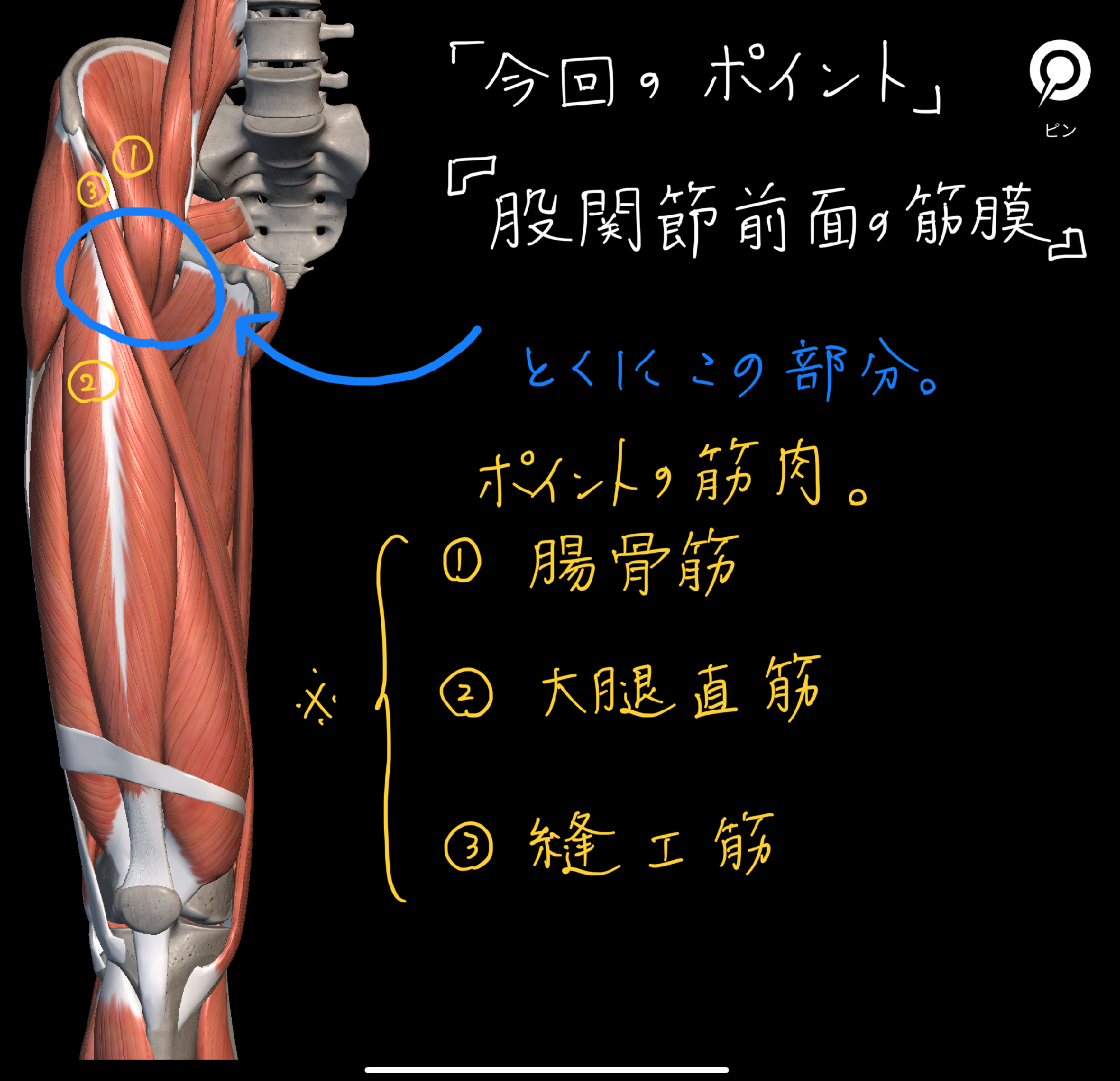 膝裏＆鼠径部の「深部リンパ流し」で足のむくみ改善、ほっそり美脚に！ ｜ からだにいいこと