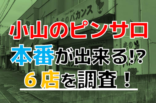 小山の本サロが壊滅！エロい遊びはピンサロから援交に様変わり