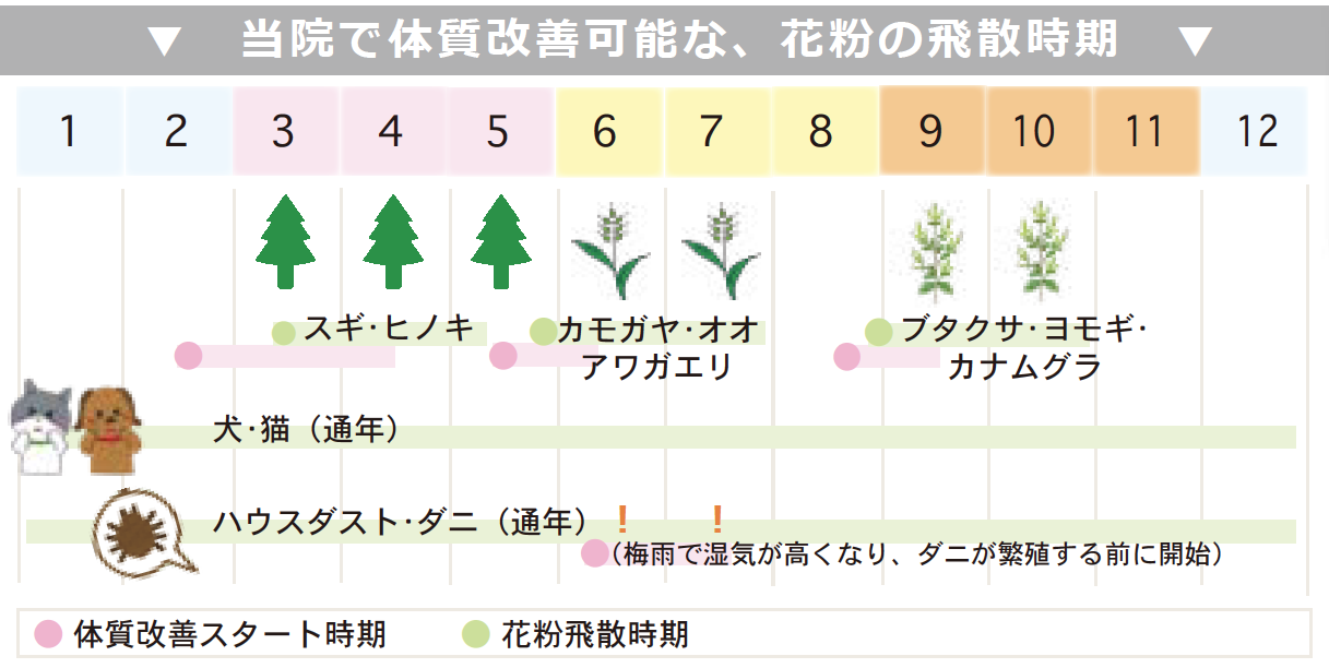 ブタクサ咲いてました - しんでん東耳鼻咽喉科