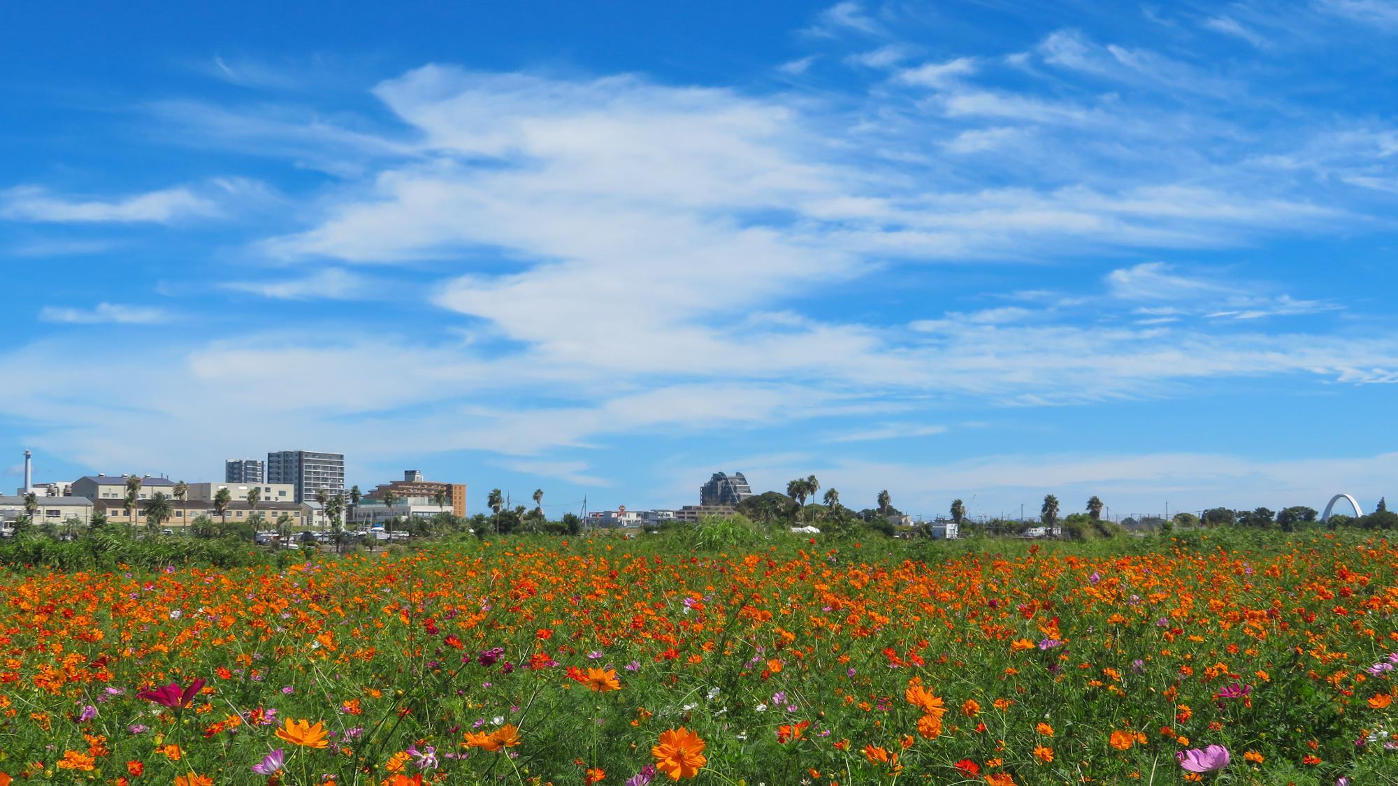 湘南コスモス】賃貸物件情報（神奈川県平塚市）｜タウンハウジング e