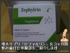 外用ホルモン塗布剤 オットピン｜精力剤の通信販売 中屋彦十郎薬局