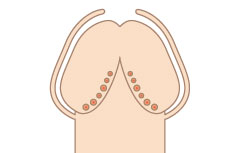 オナニーペニスサック 装着型 ダブルローター付き –