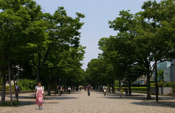 代々木公園｜東京都渋谷区のおすすめ観光・レジャースポット｜旅色