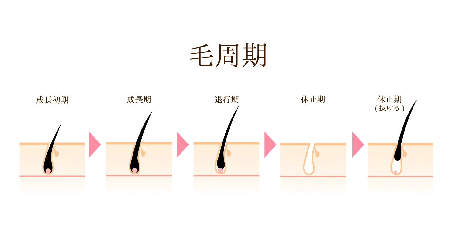 髭を抜くと生えてこなくなる噂は本当？デメリットや処理方法も解説 | お役立ち情報 | 東京・恵比寿のメンズ脱毛サロン【アロンソ】