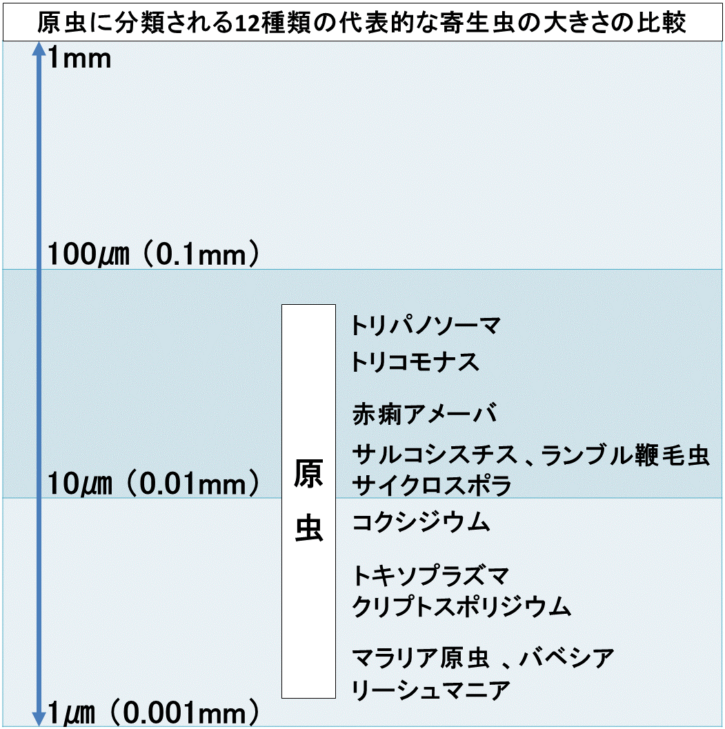 10月1日：自然の贈り物 クリのイガに7個の実が同居／宍粟市