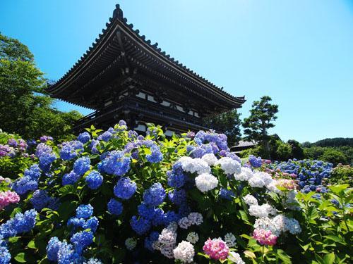 ハッピーホテル｜京都府 福知山市のラブホ ラブホテル一覧