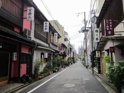 【犬も歩けば】大阪五大新地の一角を担う「今里新地」も今は朝鮮人だらけ！カオスな色街を散歩する。【ハングル看板】（6） – 全国裏探訪