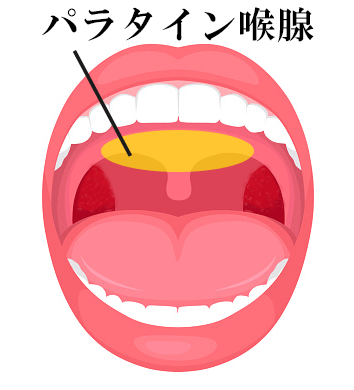 かなた | 松戸デリヘル・風俗【松戸サンキュー】｜当たり嬢多数在籍