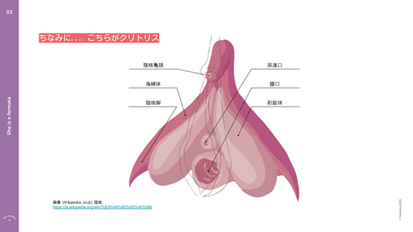 セックステクニックで女性を本当に気持ちよくする基礎知識【男性向け】－AM