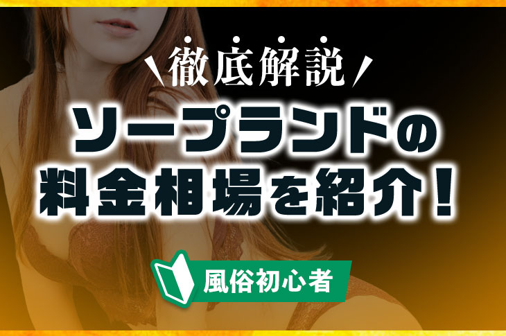 ソープランドとは？ヘルスとの違いやお仕事内容、給料事情、全国のソープ街もあわせてお届け - バニラボ