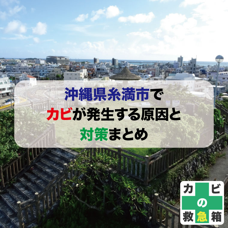 最新版】糸満市でさがす風俗店｜駅ちか！人気ランキング