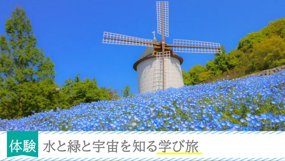 電車ごっこの指導案の書き方。ねらいや導入、援助のやり方や工夫するポイント | 保育学生の就活お役立ちコラム |