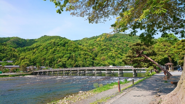 京都 夏の撮影スポット19選! 新緑の庭園やあじさい、海の景色など京都の夏の景色が満載! 旅行や観光スポット探しにおすすめ! -