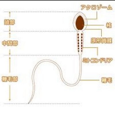 お風呂の排水溝に|ママの交流掲示板|ママスタコミュニティ