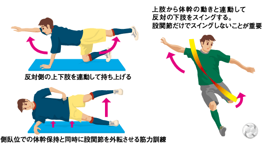 鼠径部ストレッチは全身に効果あり！リンパを流して美ボディになろう [ストレッチ] All